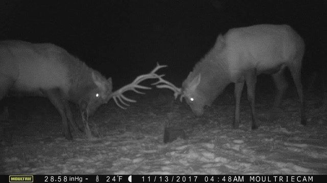 75500 JOE REIN ROAD, Glidden, WI 54527