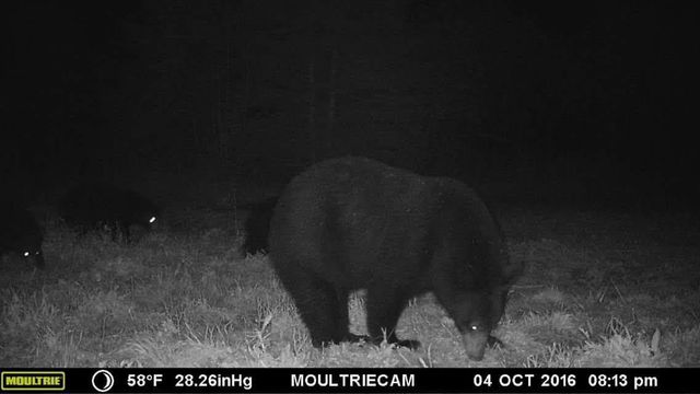 75500 JOE REIN ROAD, Glidden, WI 54527