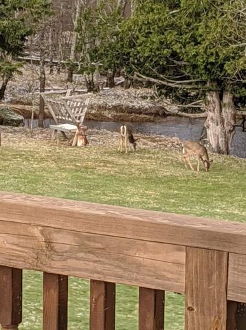 75500 JOE REIN ROAD, Glidden, WI 54527