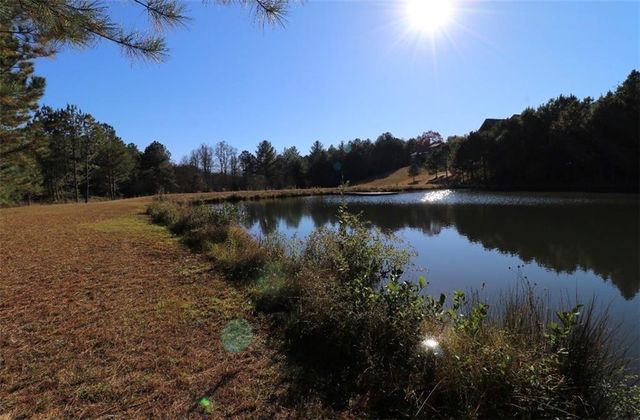 100 Pond Overlook Lane, Morganton, GA 30560