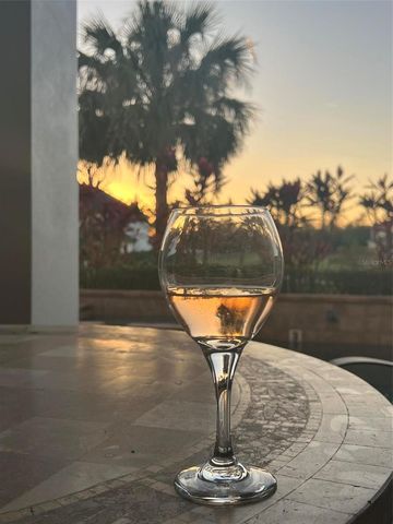 1172 CASTLE PINES CT, Reunion, FL 34747