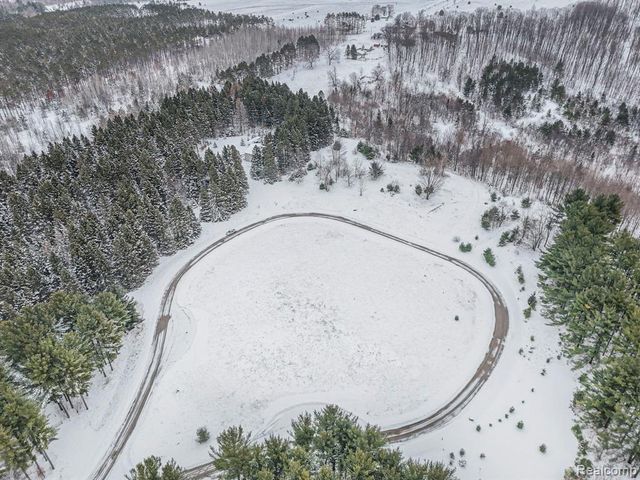 8074 Grosbeak Drive, Alden, MI 49612