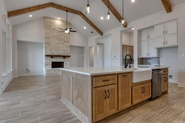 1153 Cape May Warbler, New Braunfels, TX 78132
