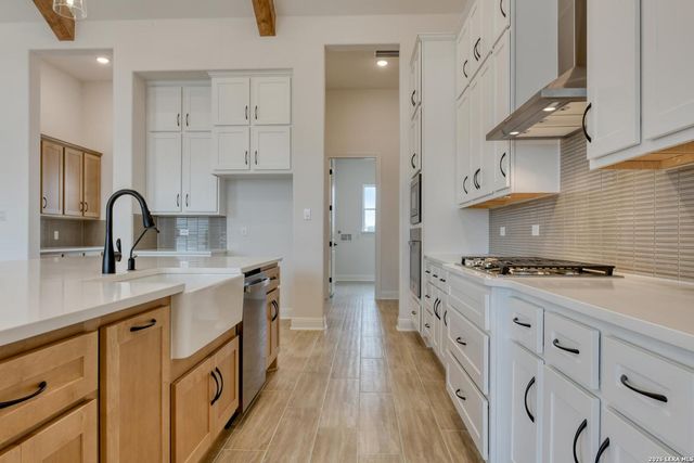 1153 Cape May Warbler, New Braunfels, TX 78132