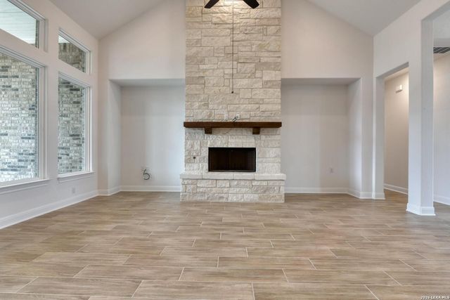 1153 Cape May Warbler, New Braunfels, TX 78132