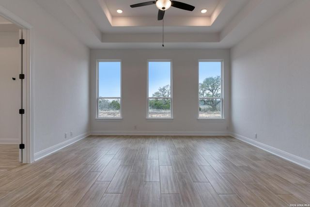 1153 Cape May Warbler, New Braunfels, TX 78132