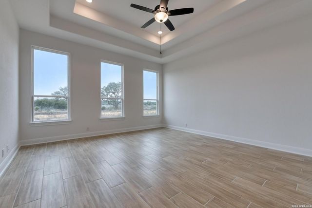 1153 Cape May Warbler, New Braunfels, TX 78132