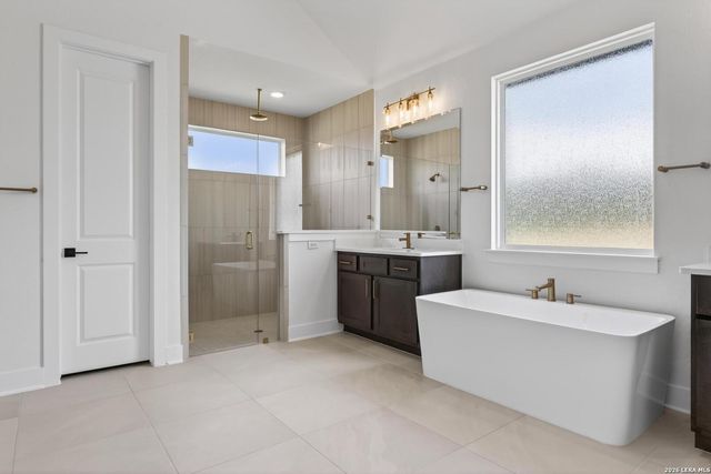 1153 Cape May Warbler, New Braunfels, TX 78132