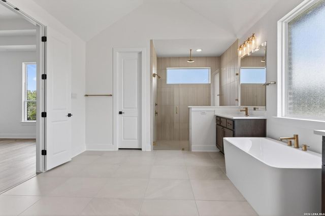 1153 Cape May Warbler, New Braunfels, TX 78132
