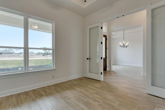 1153 Cape May Warbler, New Braunfels, TX 78132