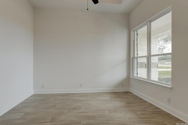 1153 Cape May Warbler, New Braunfels, TX 78132