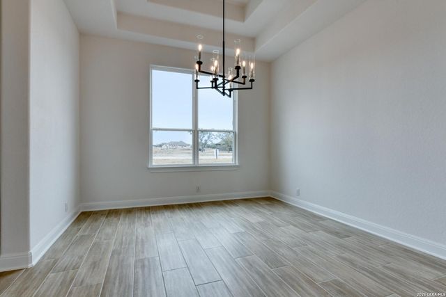 1153 Cape May Warbler, New Braunfels, TX 78132