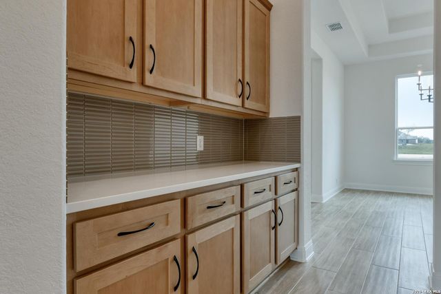 1153 Cape May Warbler, New Braunfels, TX 78132