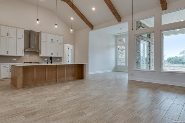 1153 Cape May Warbler, New Braunfels, TX 78132
