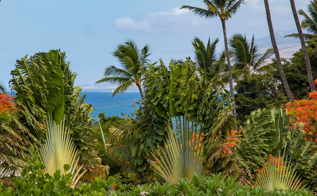 2575 S Kihei Rd Apt G310 310, Kihei, HI 96753