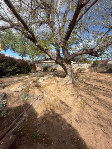 9018 Phoenix Avenue NE, Albuquerque, NM 87112