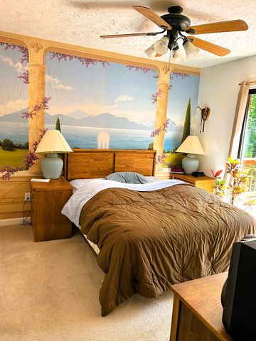 377 Scenic Drive, Hayesville, NC 28904