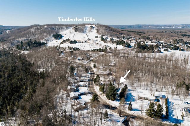 10667 S Timberlee Drive, Traverse City, MI 49684