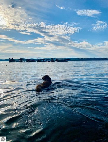 10667 S Timberlee Drive, Traverse City, MI 49684