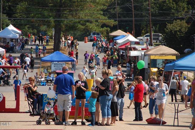 160 Galway Road, Lillington, NC 27546