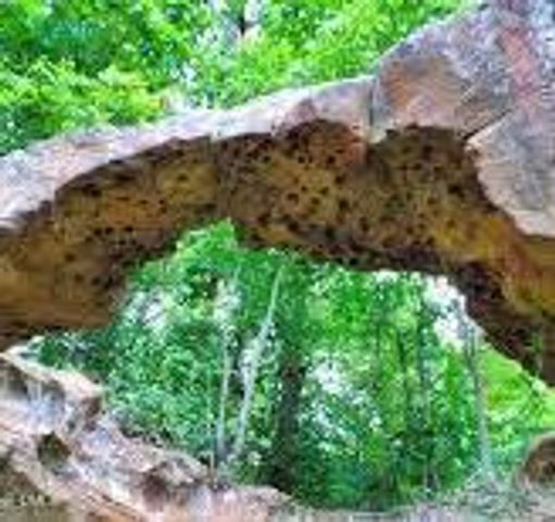 160 Galway Road, Lillington, NC 27546