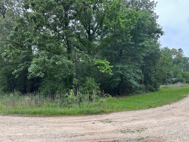 213 Neibel Drive, Livingston, TX 77351
