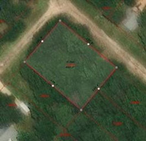 213 Neibel Drive, Livingston, TX 77351