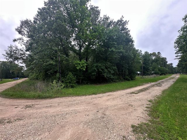 213 Neibel Drive, Livingston, TX 77351