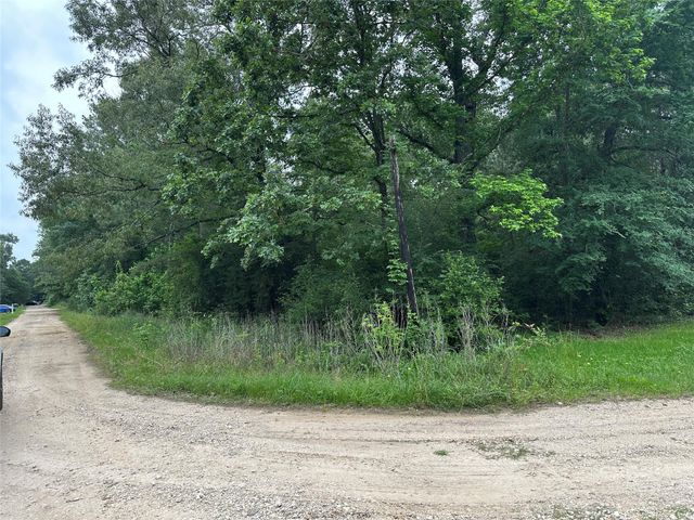 213 Neibel Drive, Livingston, TX 77351