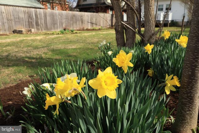 222 S GILL ST, State College, PA 16801