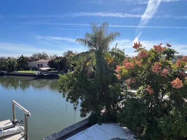 96 ADALIA AVENUE, Tampa, FL 33606