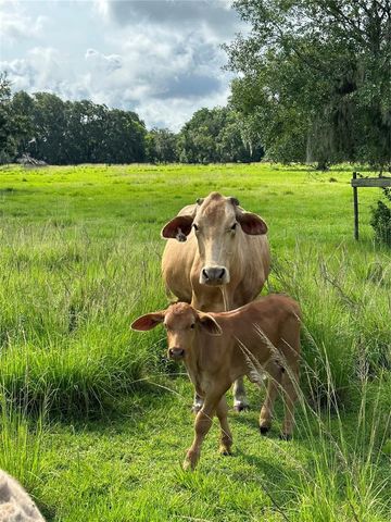 3720 ABRAHAM ACRES LANE, Plant City, FL 33565