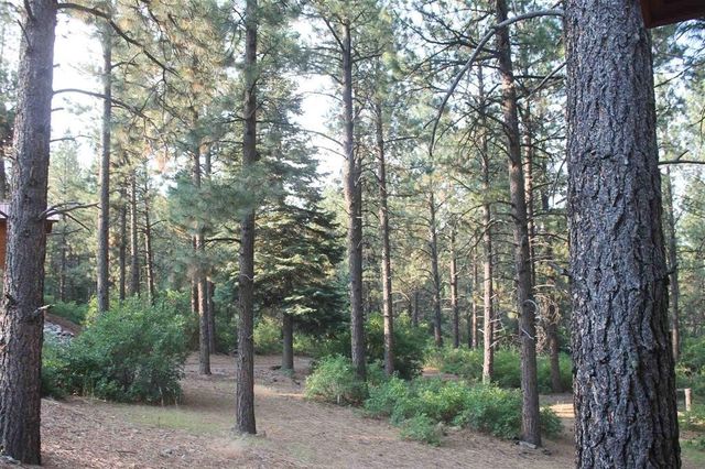 15 Brass Cap Road, Chama, NM 87520