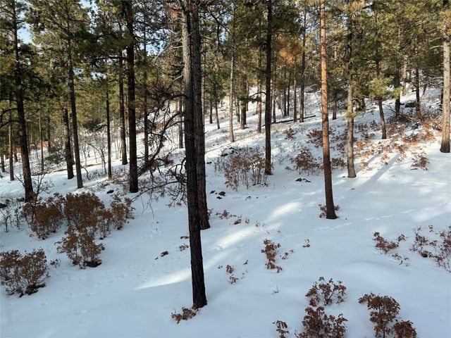 15 Brass Cap Road, Chama, NM 87520