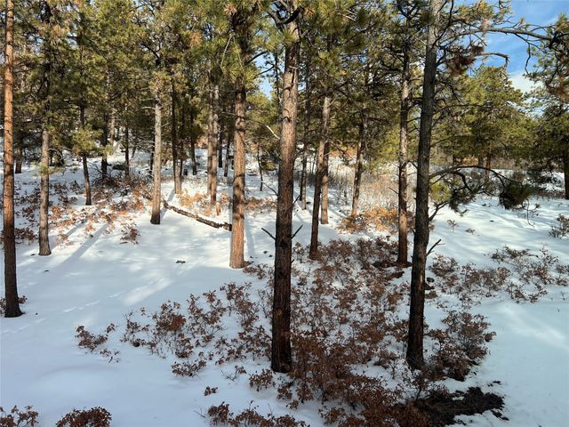 15 Brass Cap Road, Chama, NM 87520