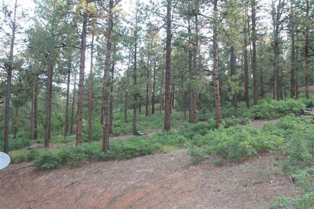 15 Brass Cap Road, Chama, NM 87520