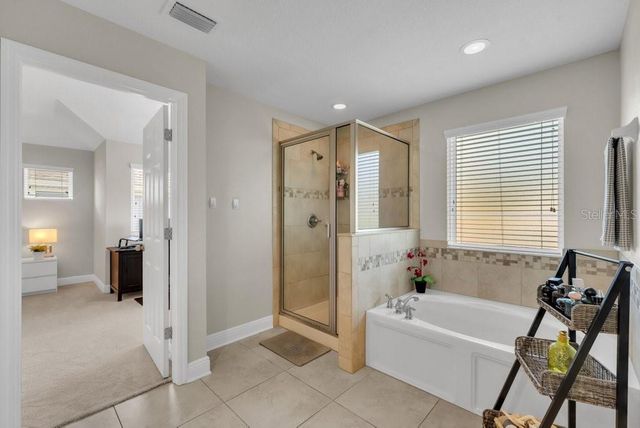 16216 BAYBERRY VIEW DR, Lithia, FL 33547