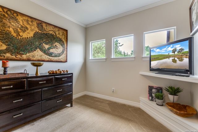 945 Great Tree, San Antonio, TX 78260