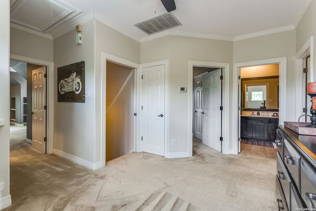 945 Great Tree, San Antonio, TX 78260