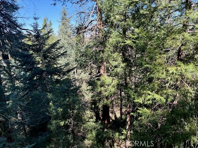 23992 Lakeview Dr., Crestline, CA 92325