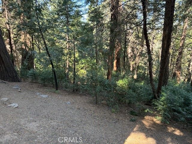 23992 Lakeview Dr., Crestline, CA 92325