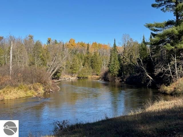 6029 Gonyer Road, Fife Lake, MI 49633