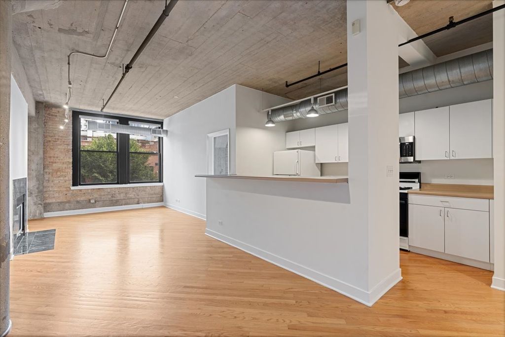 411 W Ontario Street 420, Chicago, IL 60654 — photo 3