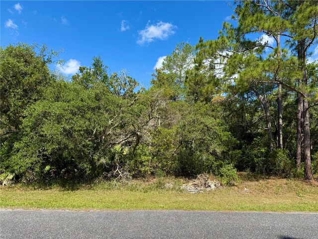 LOT 1 JERICHO TRAIL, Eustis, FL 32736