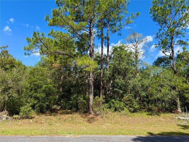 LOT 1 JERICHO TRAIL, Eustis, FL 32736