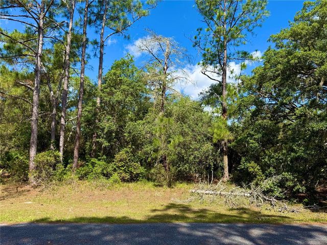 LOT 1 JERICHO TRAIL, Eustis, FL 32736