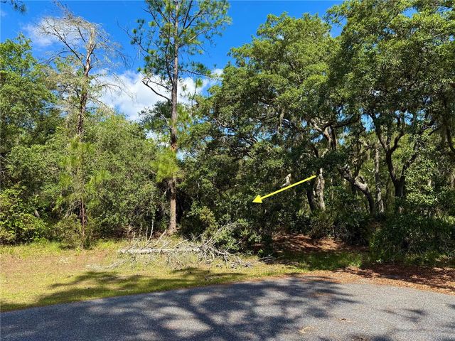 LOT 1 JERICHO TRAIL, Eustis, FL 32736