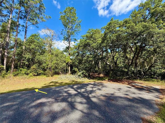 LOT 1 JERICHO TRAIL, Eustis, FL 32736