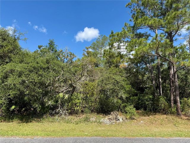 LOT 1 JERICHO TRAIL, Eustis, FL 32736