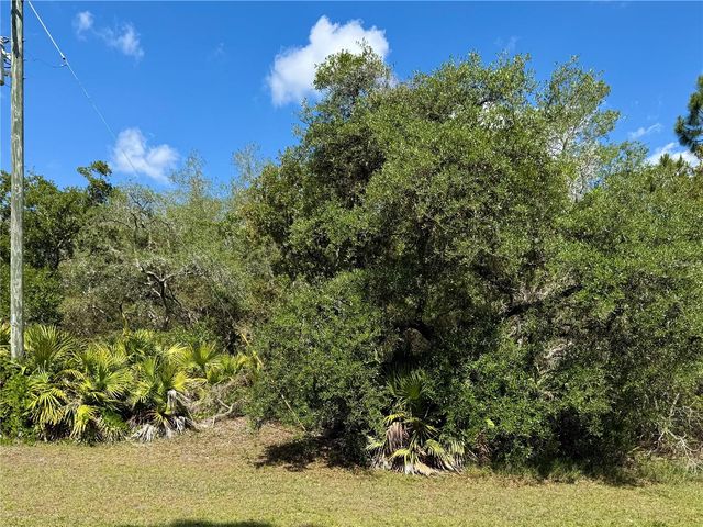 LOT 1 JERICHO TRAIL, Eustis, FL 32736